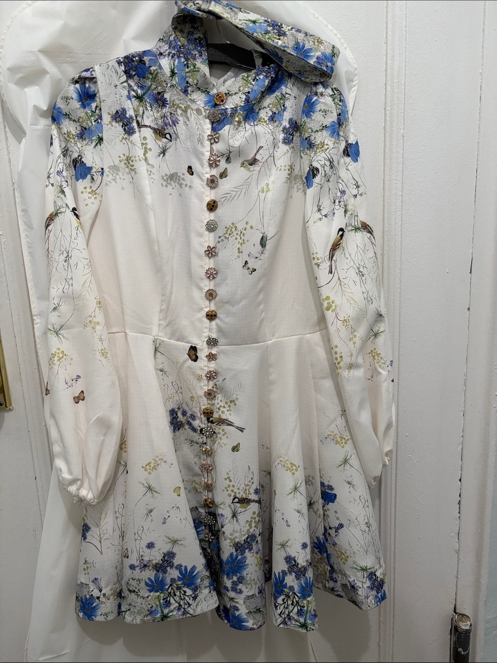 Cream Long-Sleeve Floral Button Dress with Blue Accents